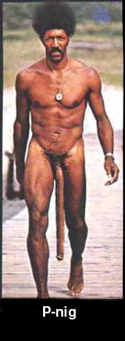 Feer da P-nig!
